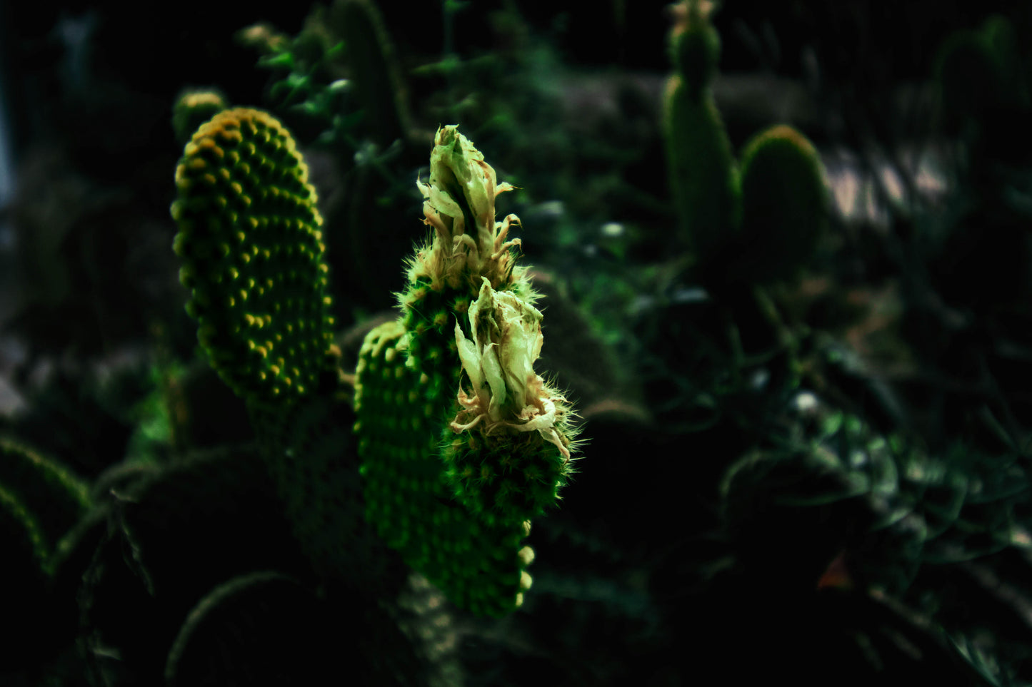 Nature green FREE prints